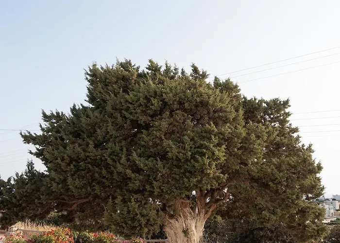 Aurea Blu 02, Sea, Light And Endless Serenity Apartament